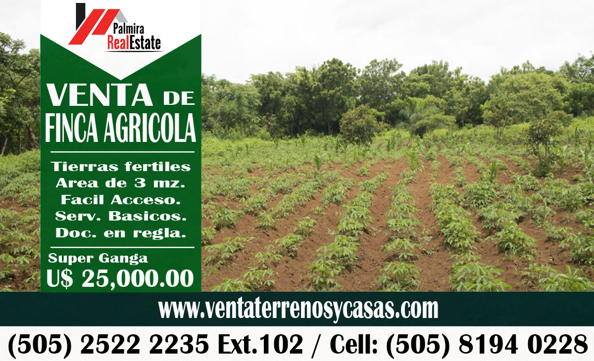 se vende finca agricola en masaya