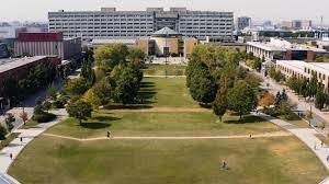 Becas de Pregrado en Canadá