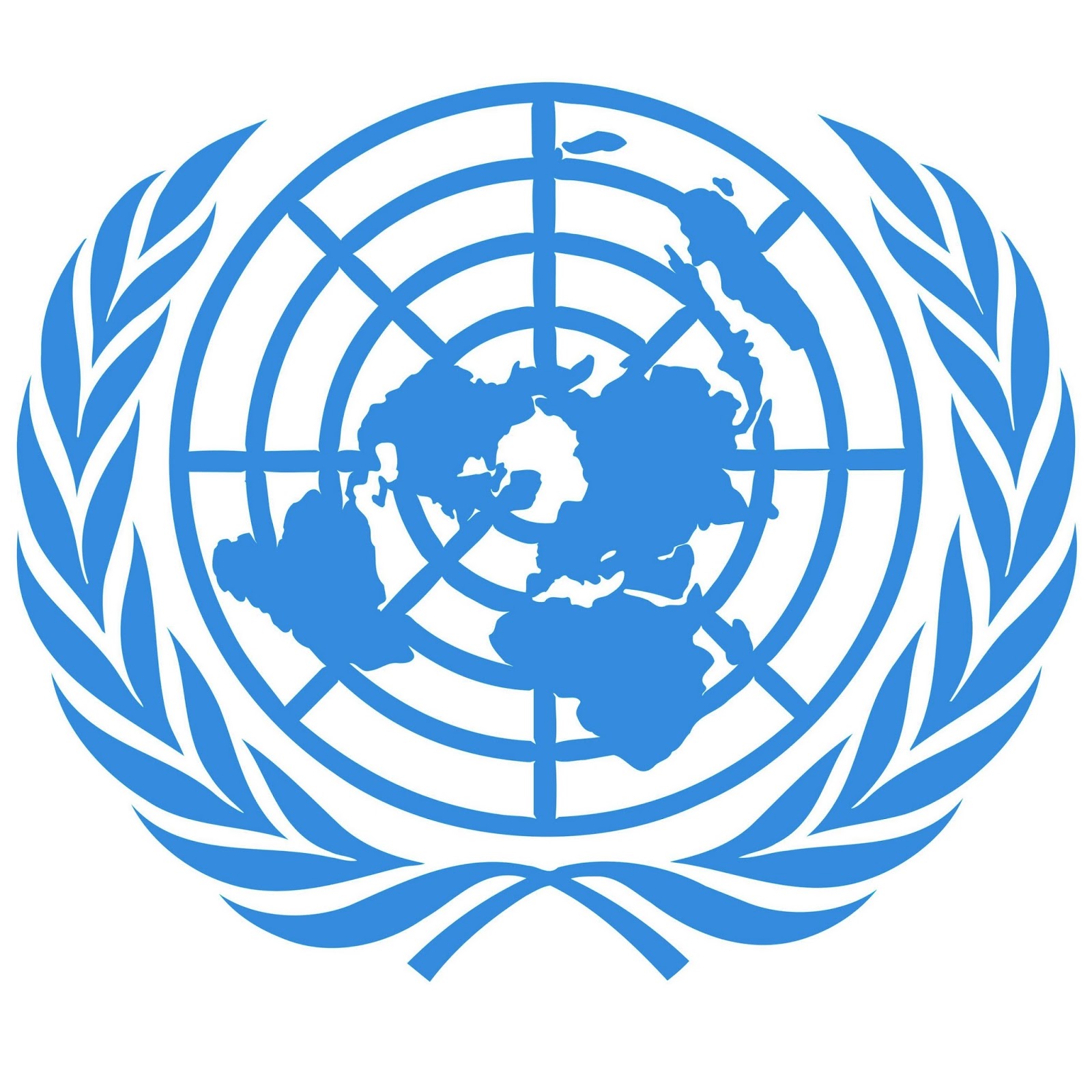 BECAS INFORMÁTICA DE LA ORGANIZACIÓN DE NACIONES UNIDAS (ONU)