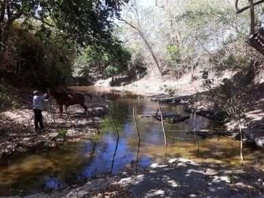 Venta Finca con Rio de 79 mz en Rivas