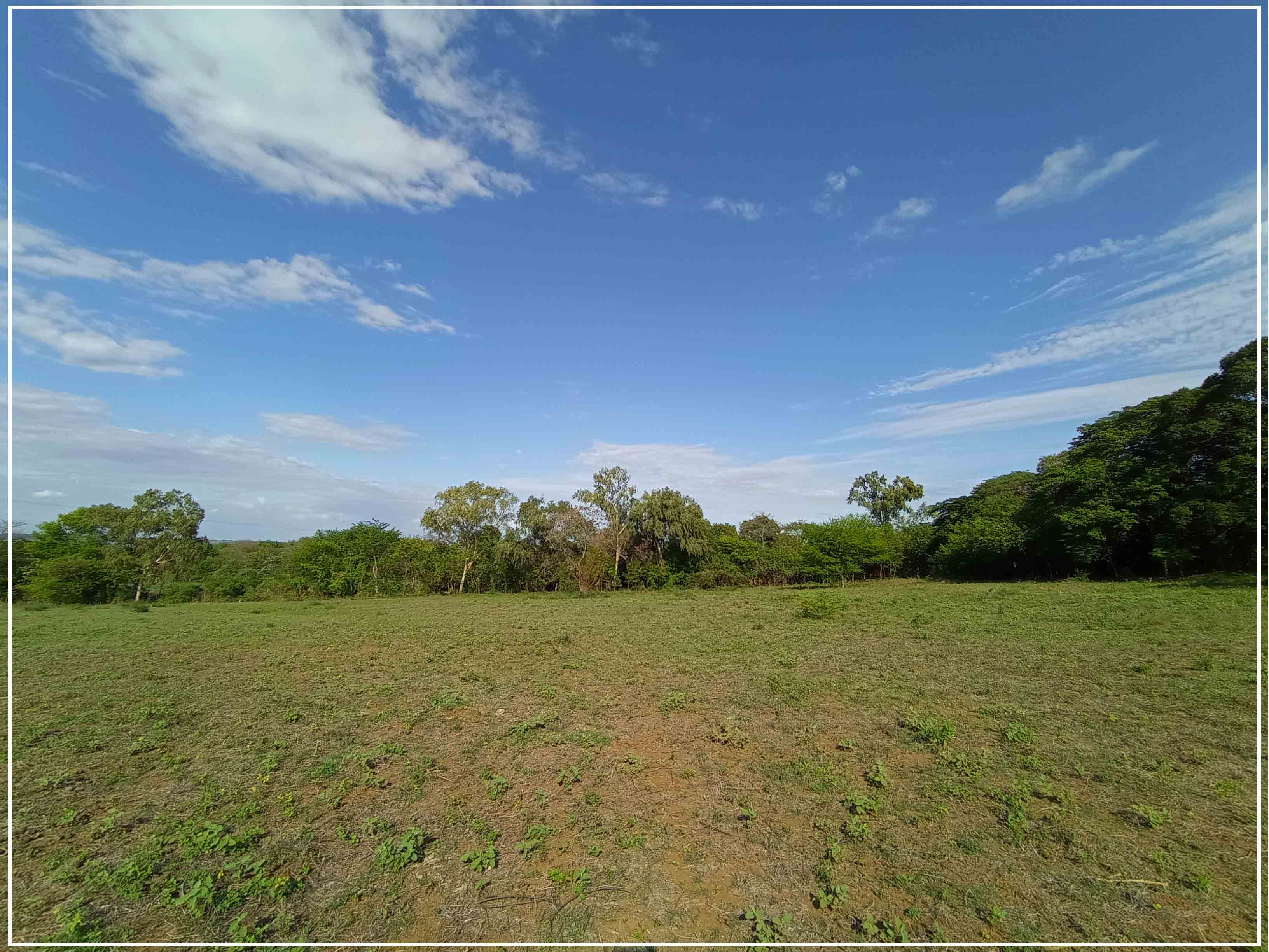 #Forsale||Venta Nuevo proyecto de Lotes en Nindiri.