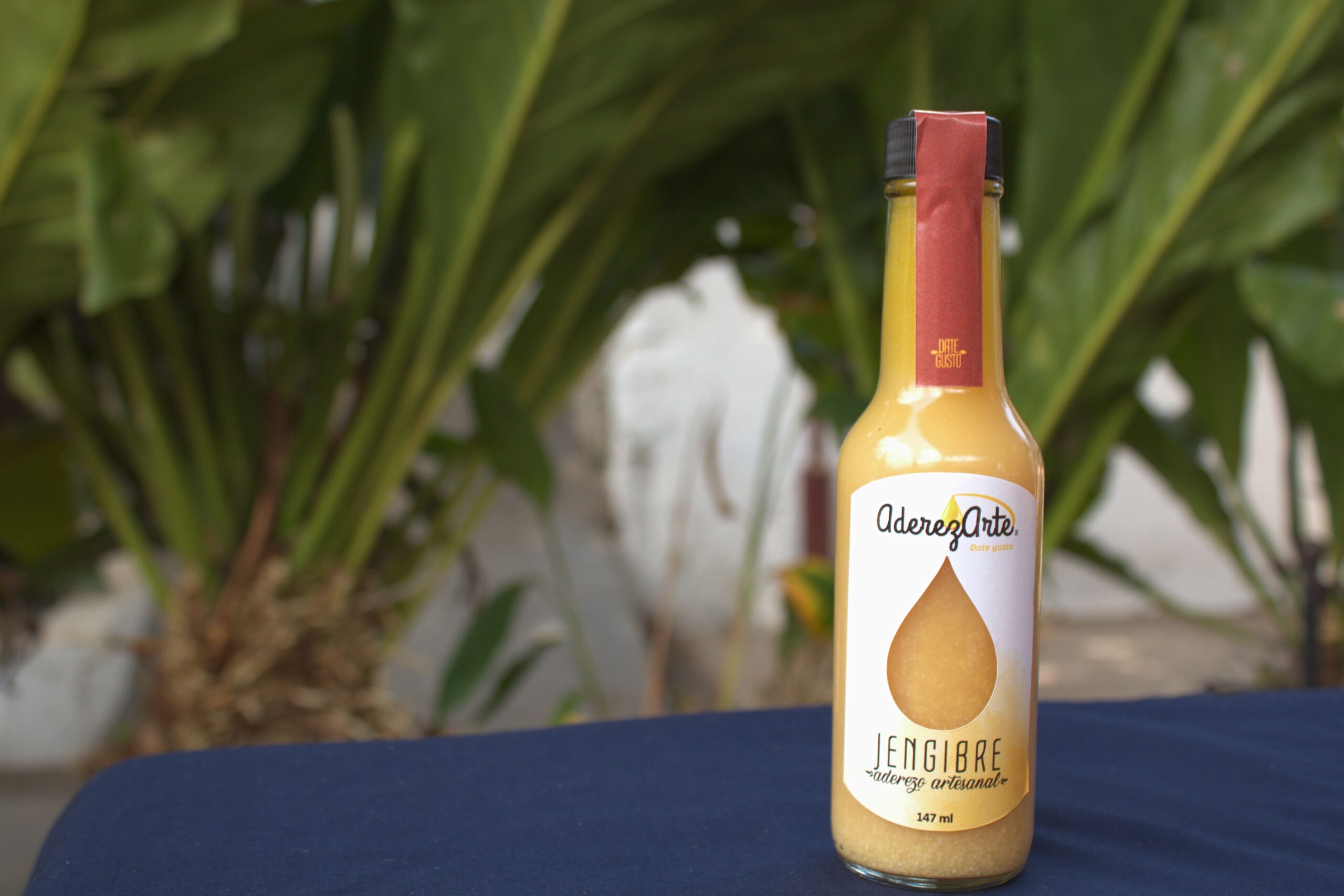 Delicioso Aderezo de Jengibre